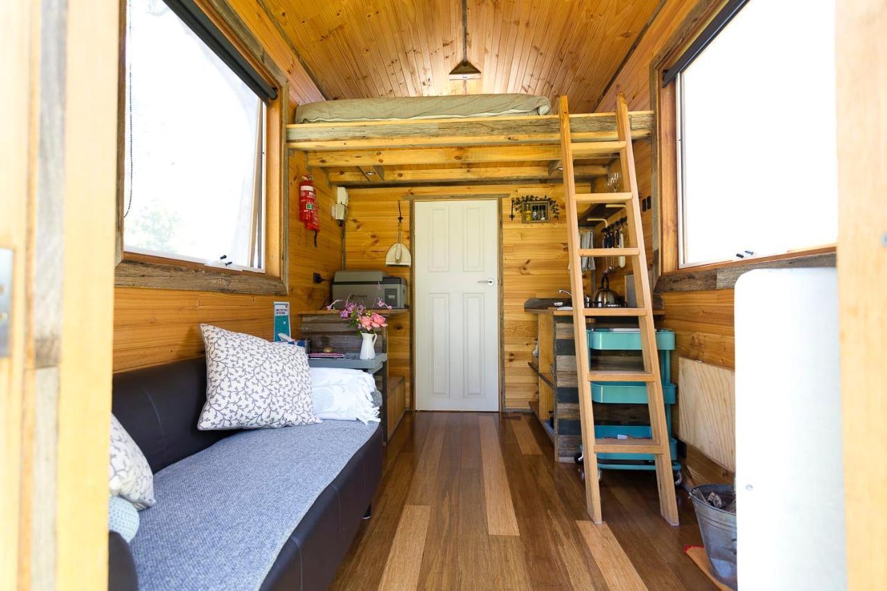 Ardingly Tiny House Villa Newham Exteriör bild