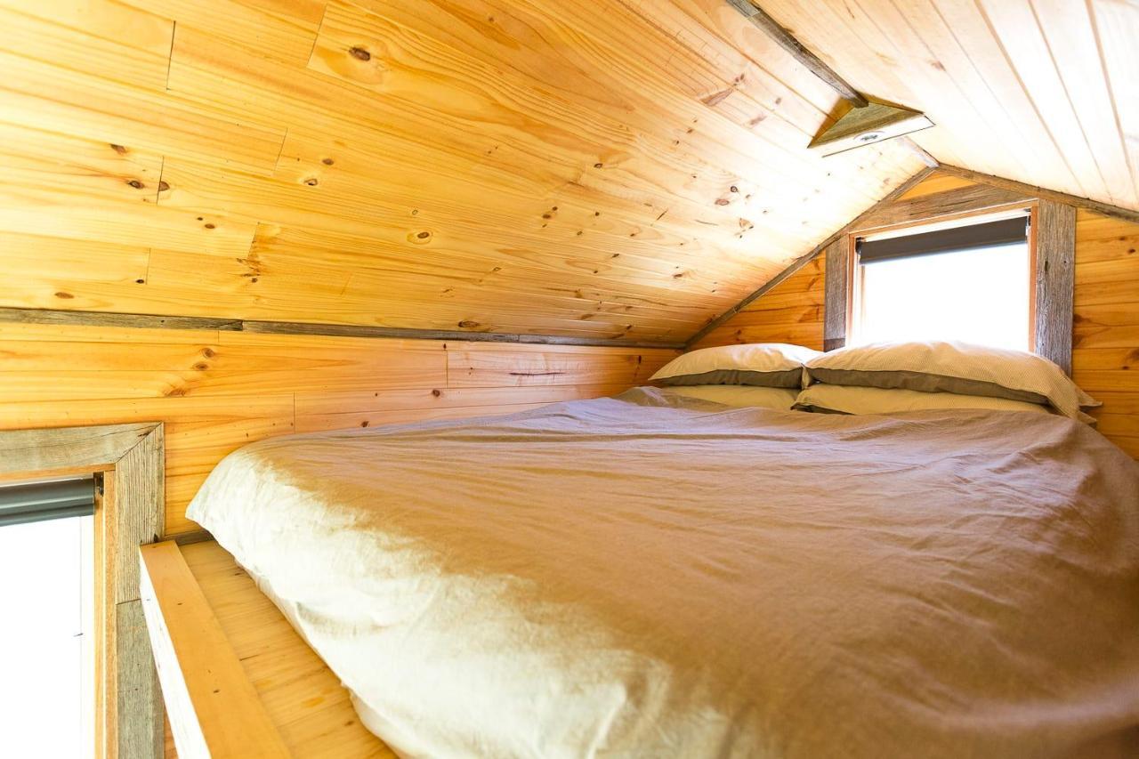 Ardingly Tiny House Villa Newham Exteriör bild