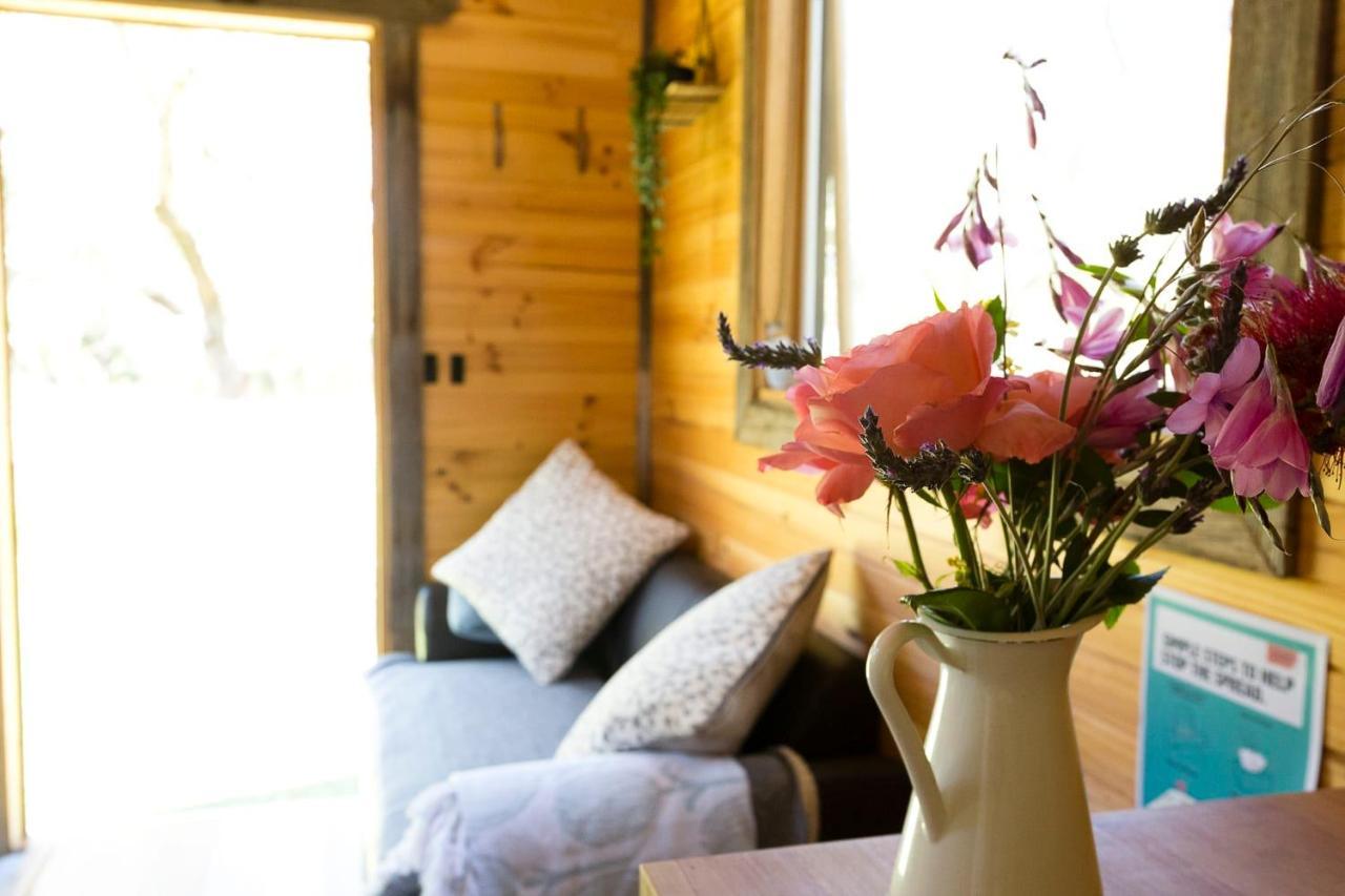 Ardingly Tiny House Villa Newham Exteriör bild