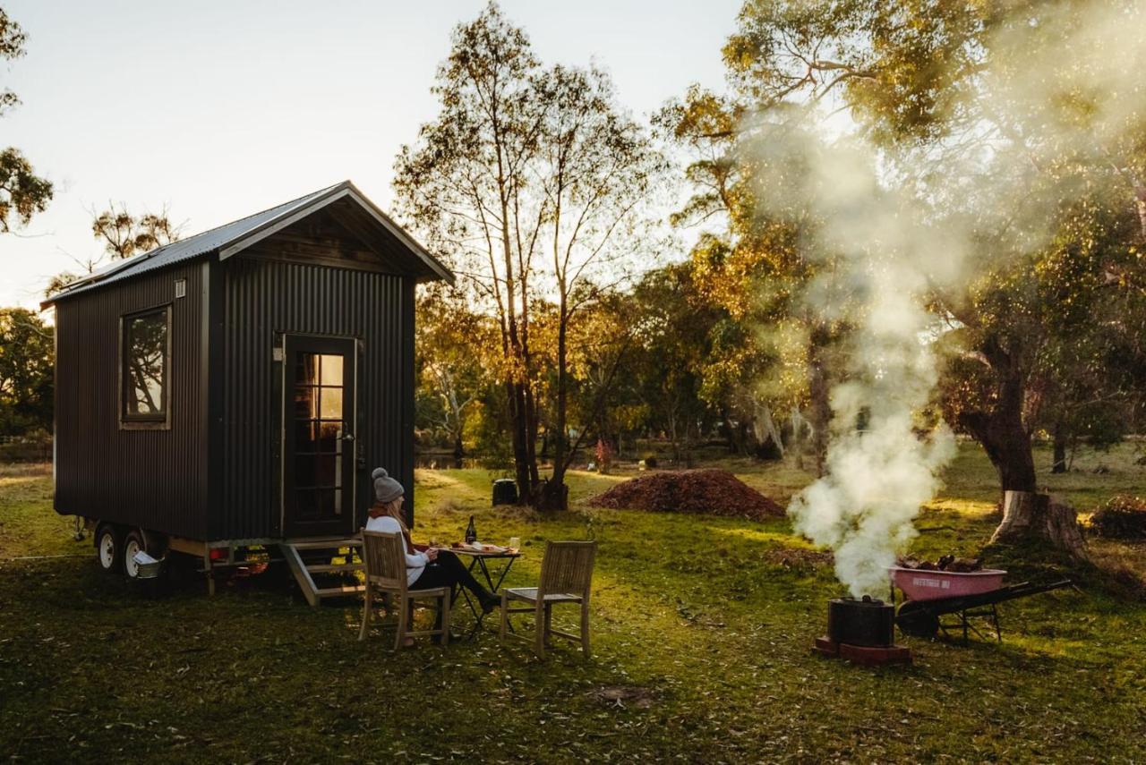 Ardingly Tiny House Villa Newham Exteriör bild